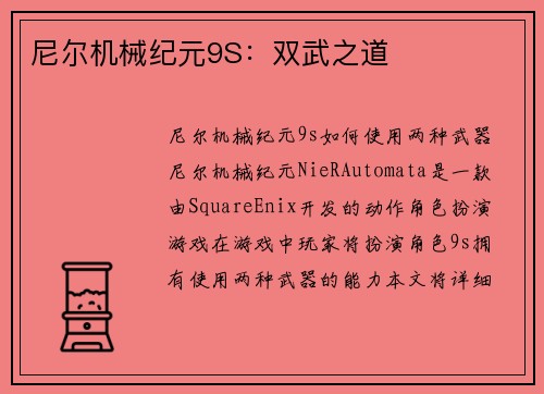 尼尔机械纪元9S:双武之道